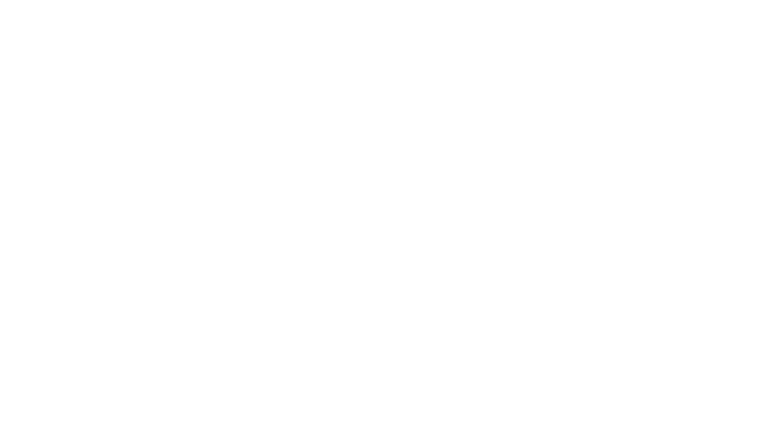 Beats Cables